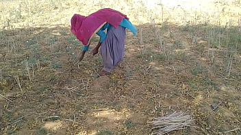 भारतीय प्रेमी ने खेत में काम करती हुई अपनी सुंदर प्रेमिका का मजेदार संभोग