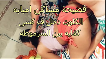 فضيحة نار في مساكن إمبابه: شرموطة تتعرى والكلوت يطير ليحلق كسها أمام الجميع